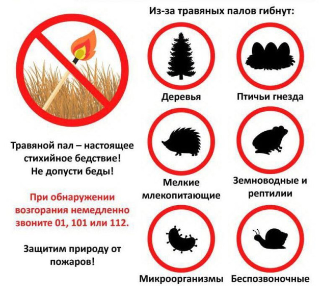 Уважаемые граждане!. Уважаемые граждане!.