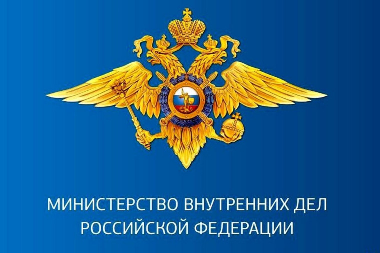 ГРАФИК. ГРАФИК.